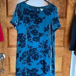 Sundance dress for women
